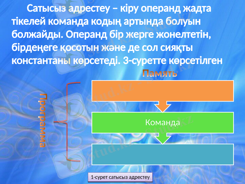 Slide 6