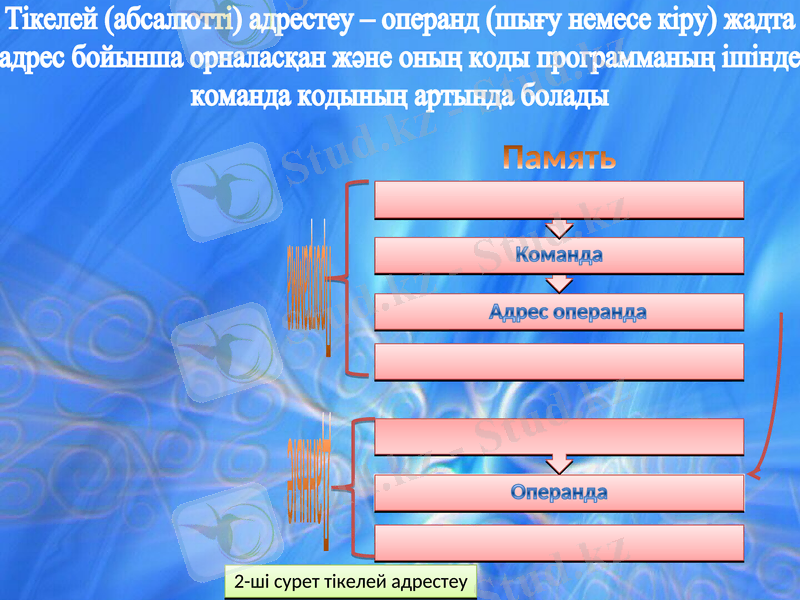 Slide 7
