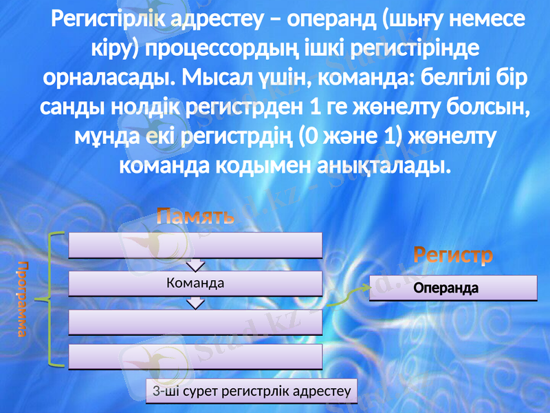 Slide 8