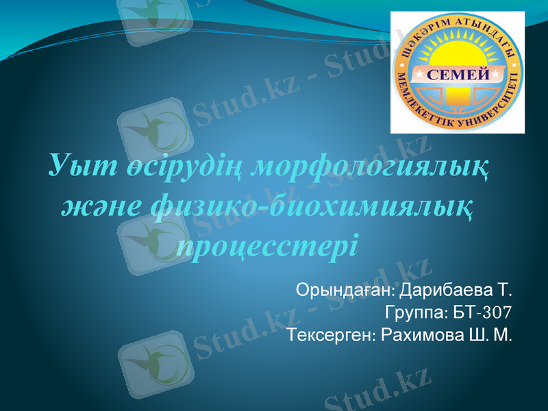 Slide 1