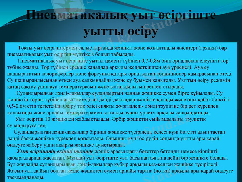 Slide 7