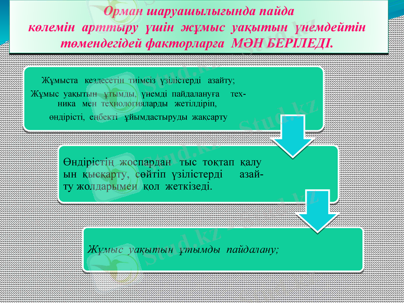Slide 7