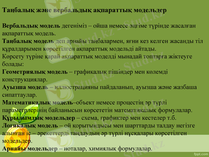 Slide 6