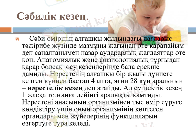 Slide 6