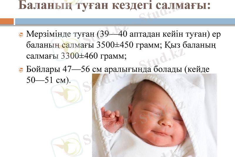 Slide 7