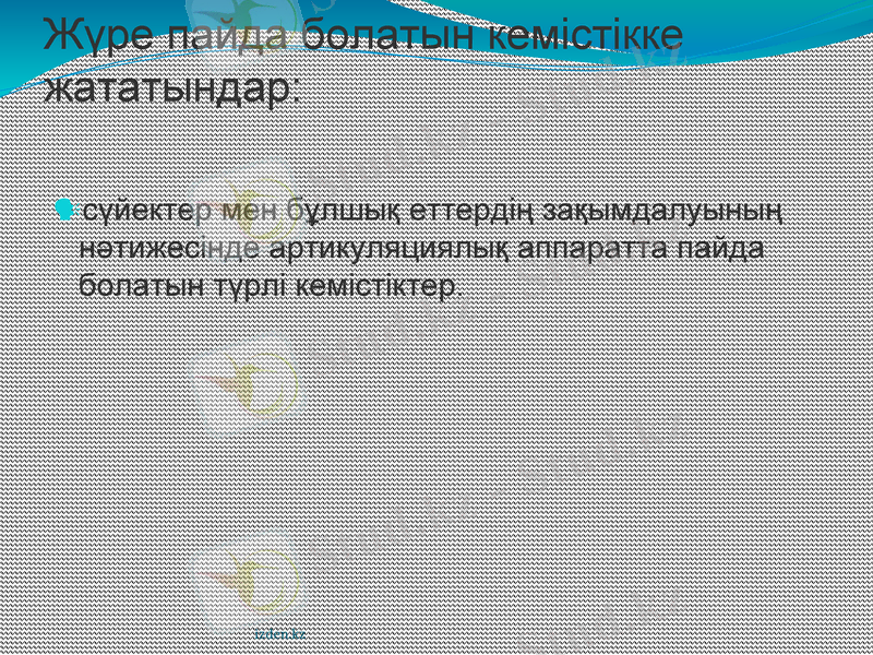 Slide 11