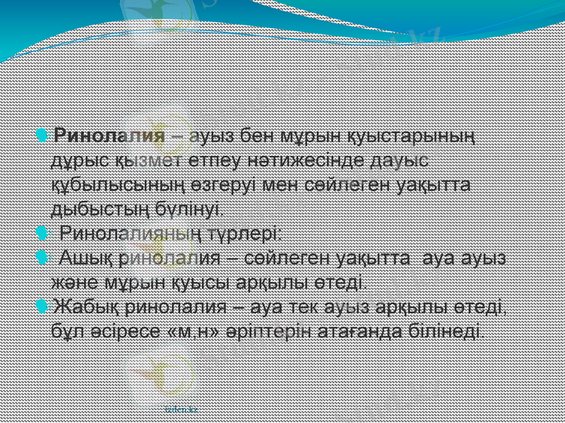 Slide 12