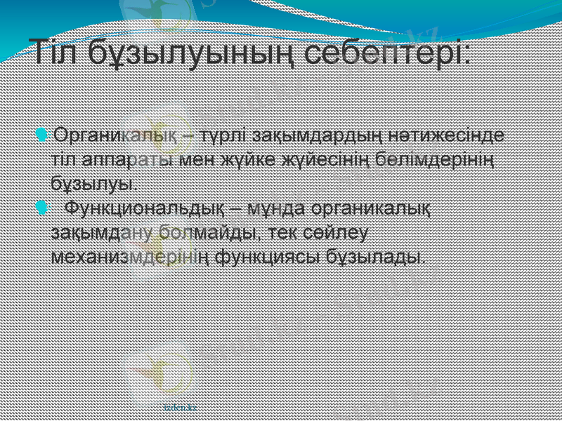 Slide 2