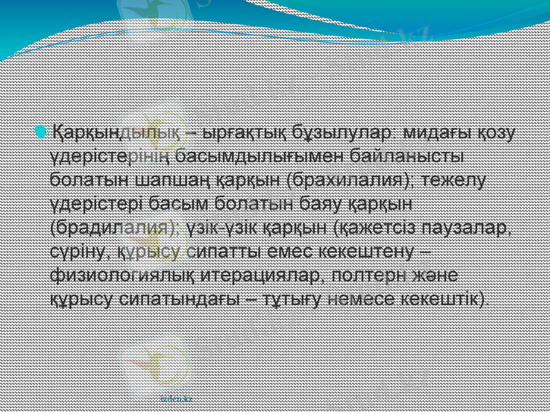 Slide 6