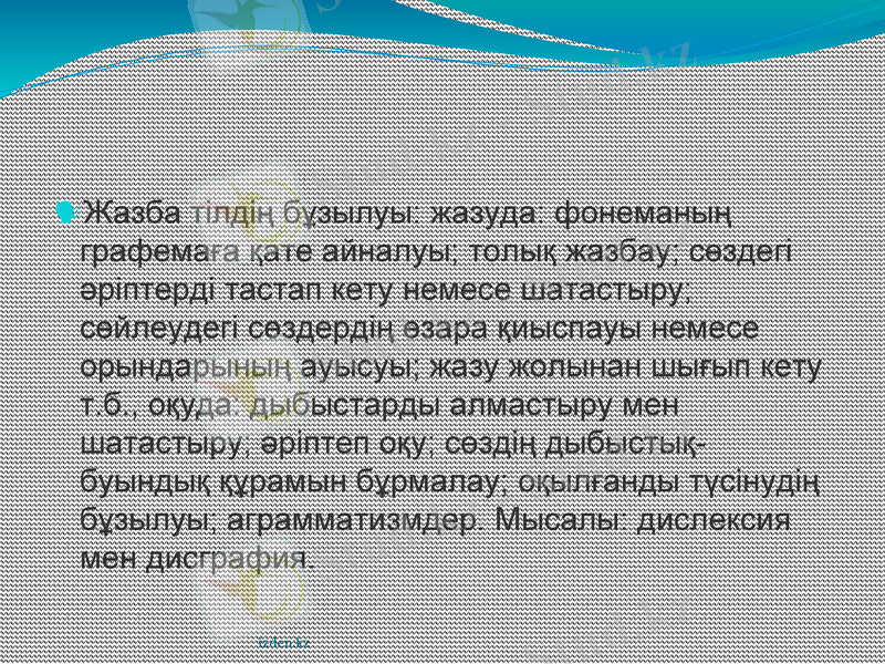 Slide 7