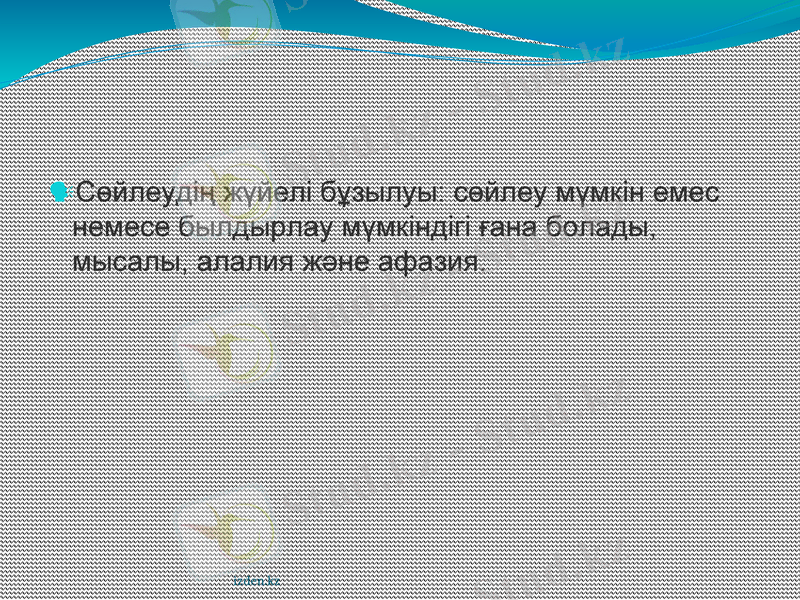Slide 8