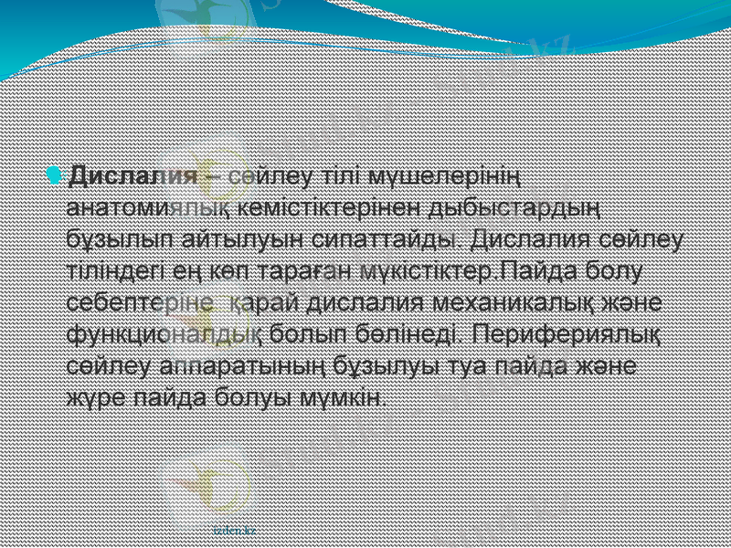 Slide 9