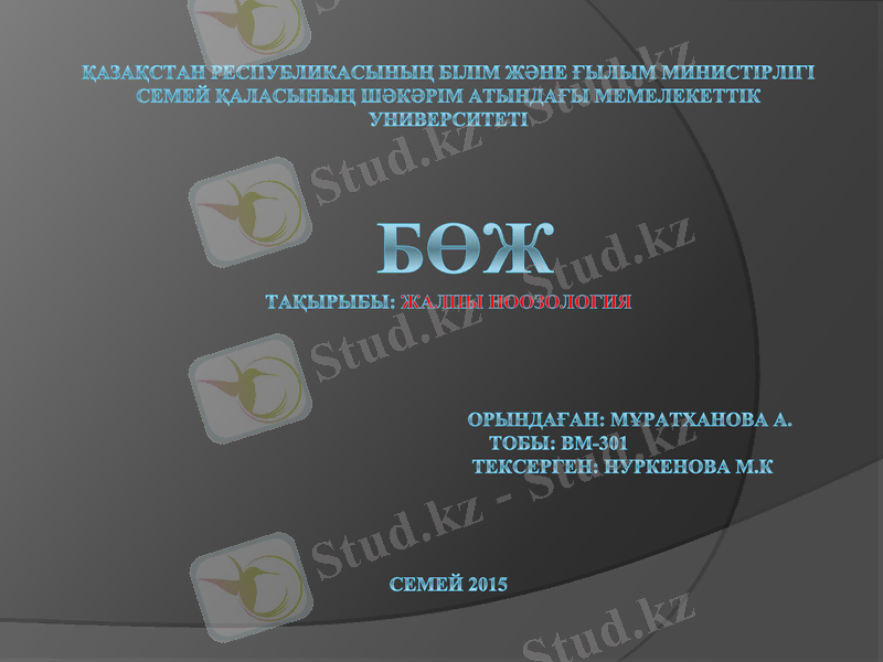 Slide 1