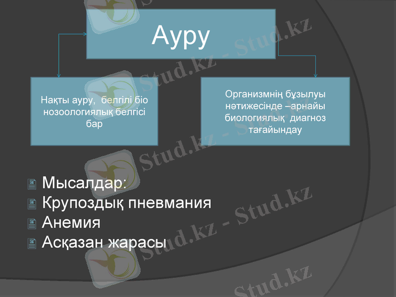 Slide 10