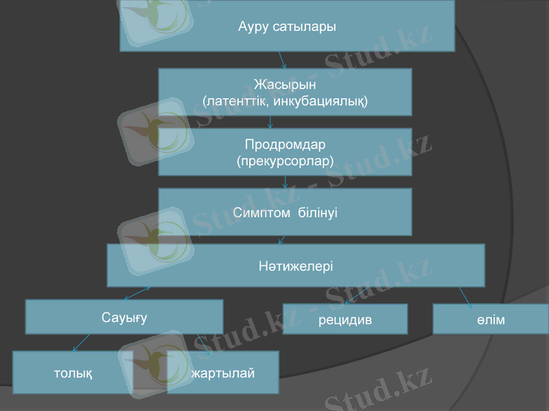 Slide 11