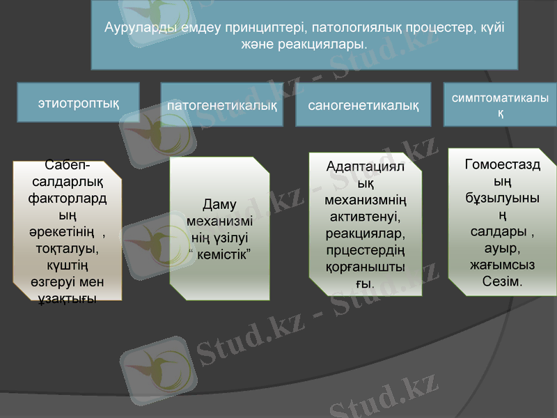 Slide 12