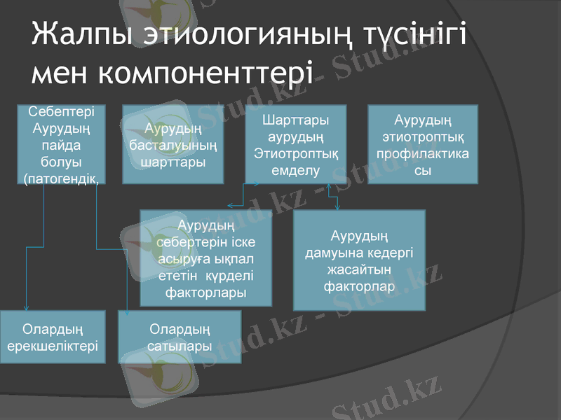 Slide 7