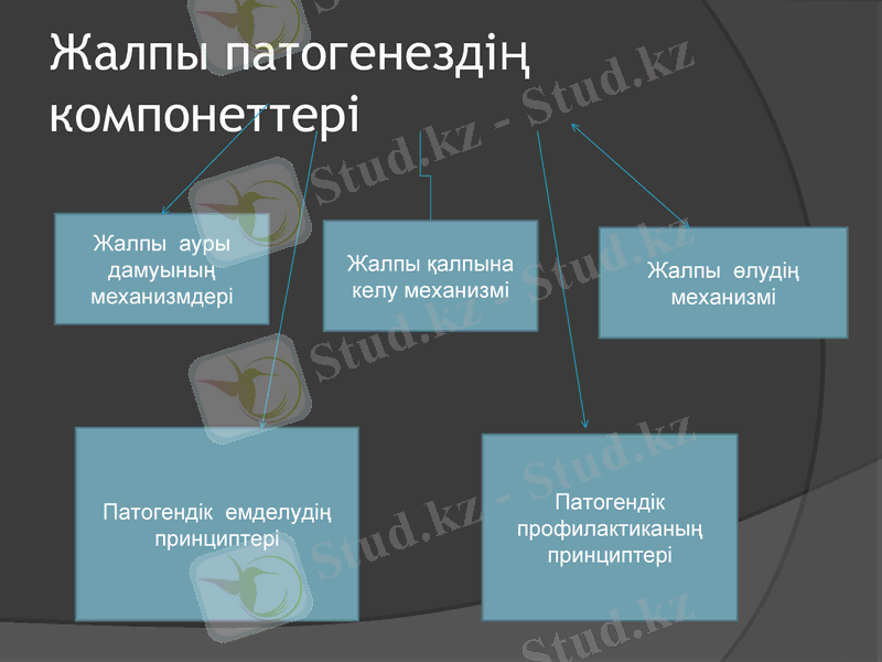 Slide 8