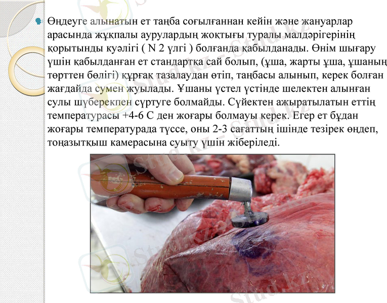 Slide 10