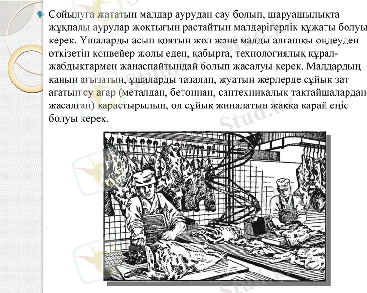 Slide 9