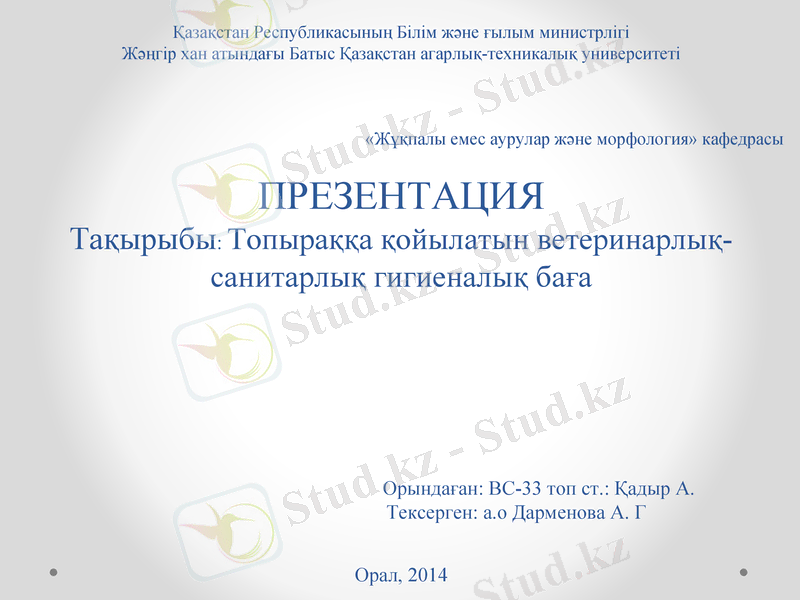 Slide 1