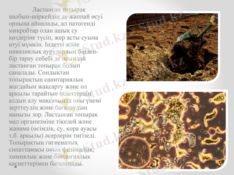 Slide 12