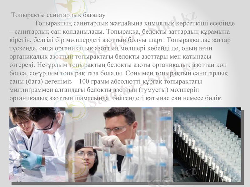 Slide 7