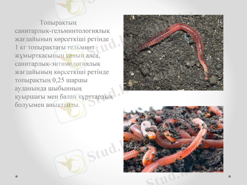 Slide 9