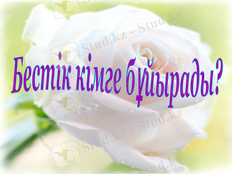 Slide 12