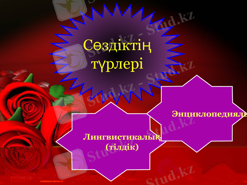Slide 9