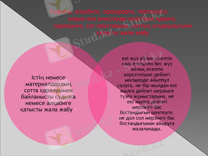 Slide 10