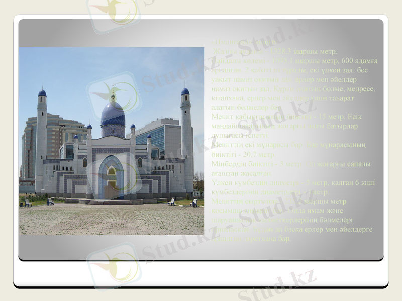 Slide 8