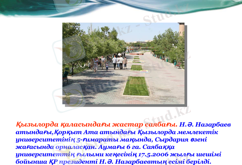 Slide 10