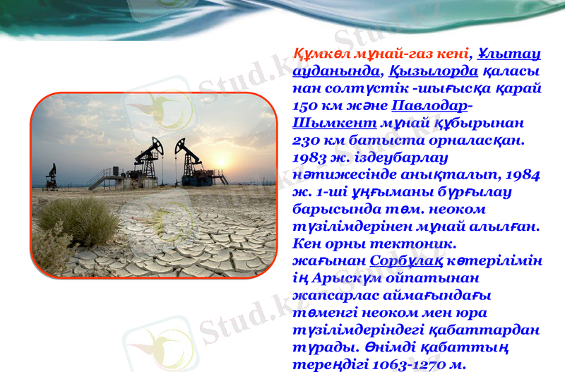 Slide 12