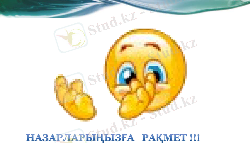 Slide 13