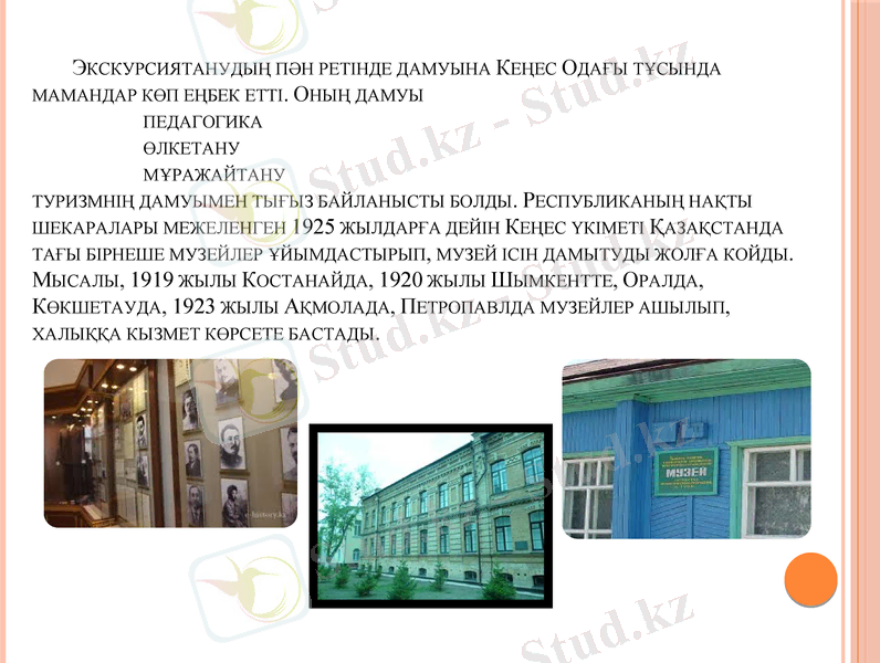 Slide 11