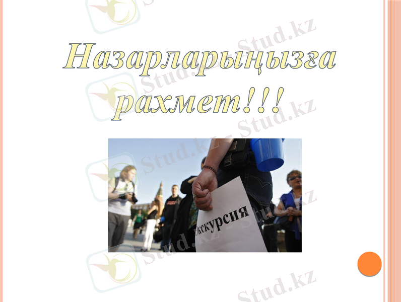 Slide 12