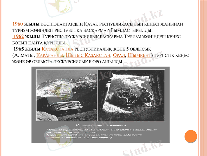 Slide 7