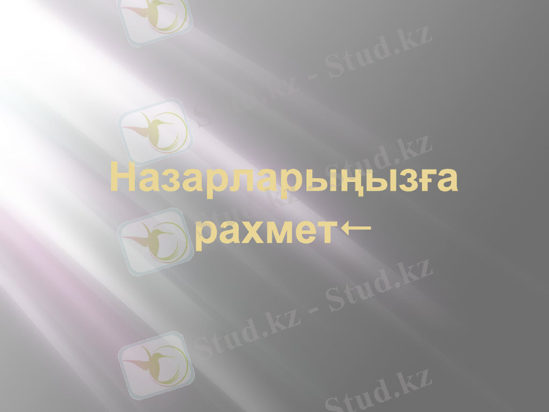 Slide 8