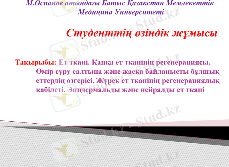 Slide 1