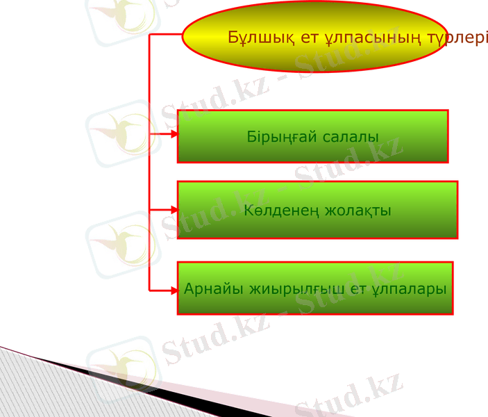 Slide 10