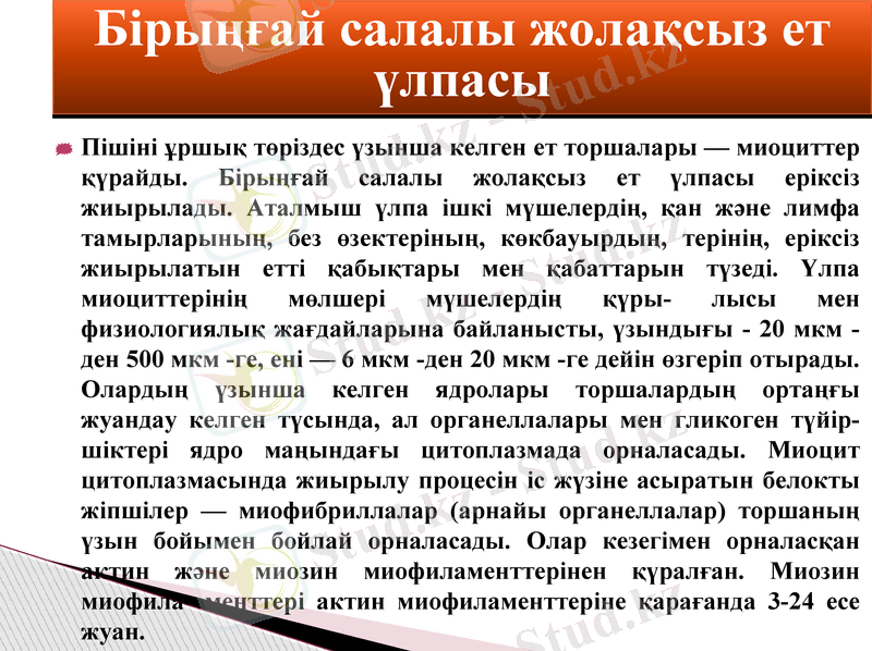 Slide 11