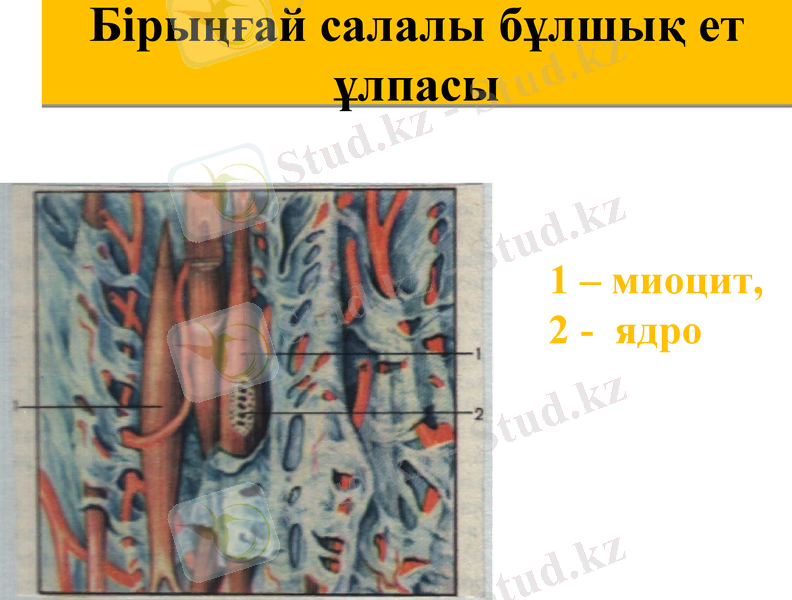 Slide 12