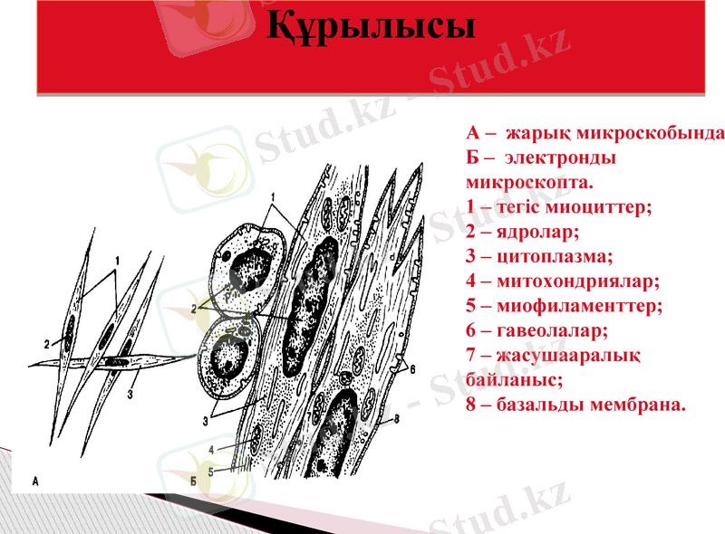 Slide 13