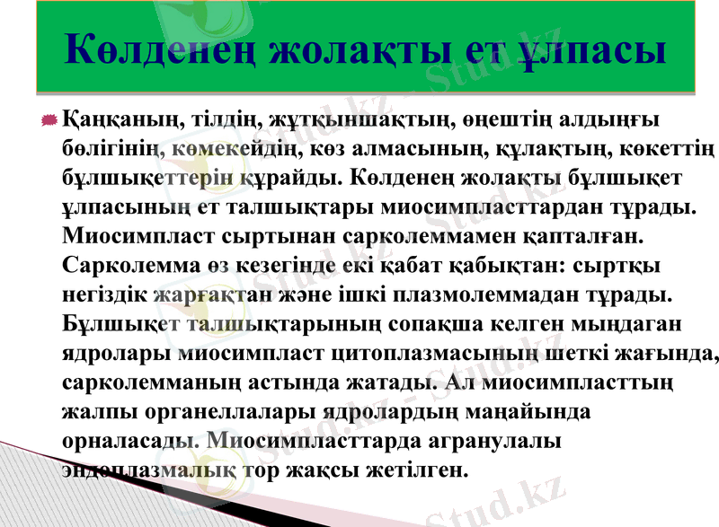 Slide 14