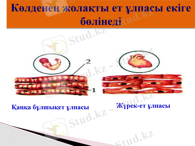 Slide 15