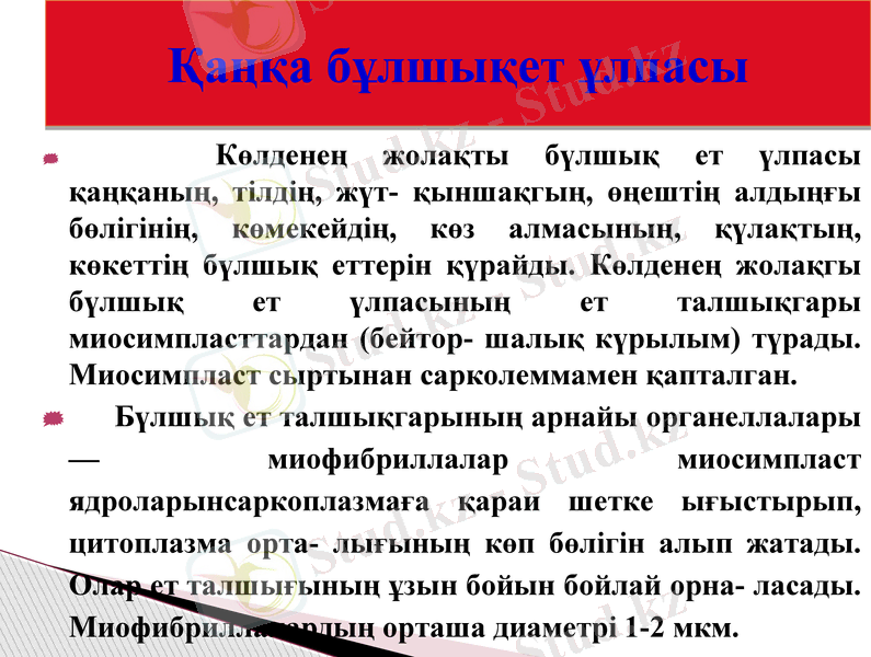 Slide 16