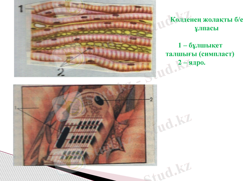 Slide 17