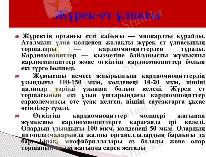 Slide 18
