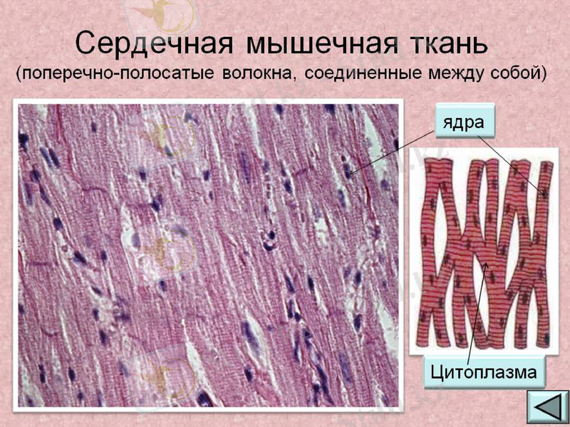 Slide 19